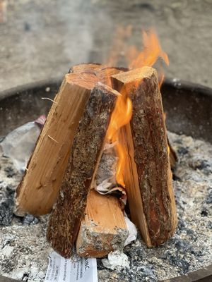 Deception Pass State Park by null