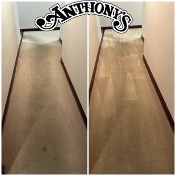 Anthony's Carpet Cleaners - Carpet Cleaning Near Me - Steubenville , Ohio Anthony's Carpet Cleaners - Carpet Cleaning Near Me - Steubenville , Ohio