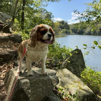 Teatown Lake Reservation - Hiking Near Me - Ossining, New York