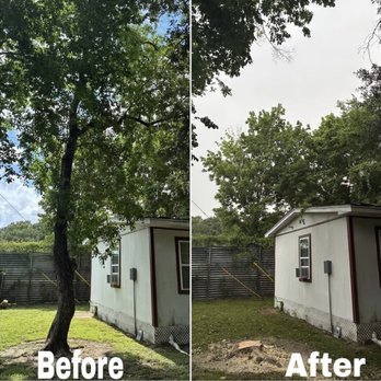 Flores Services - Tree Services Near Me Flores Services - Tree Services Near Me