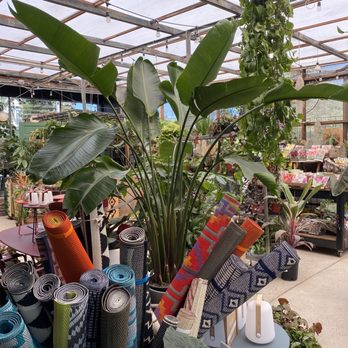 Flowerland Nursery - Nurseries & Gardening Near Me - Albany, California Flowerland Nursery - Nurseries & Gardening Near Me - Albany, California