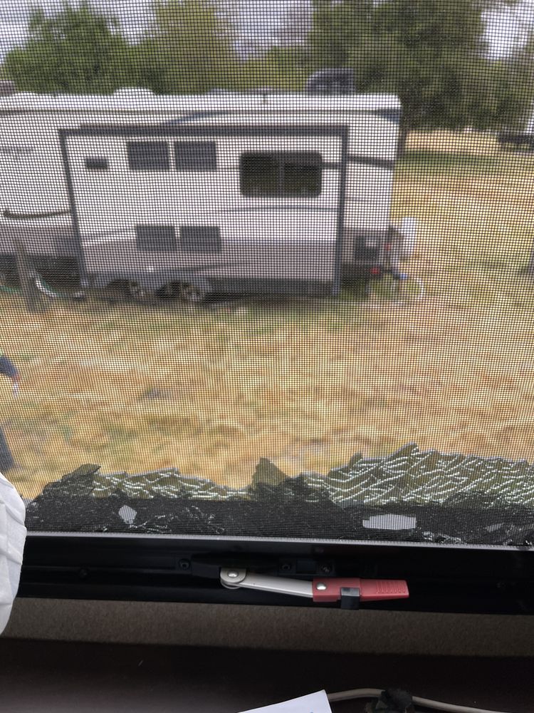 PAUL’S TREE AND LANDSCAPING SERVICE Updated August 2024 14 Reviews