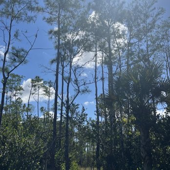 Apoxee Wilderness Trail - Hiking Near Me - West Palm Beach, Florida Apoxee Wilderness Trail - Hiking Near Me - West Palm Beach, Florida