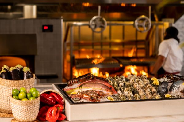Meet Dalia - Mediterranean restaurant in Miami Beach by null