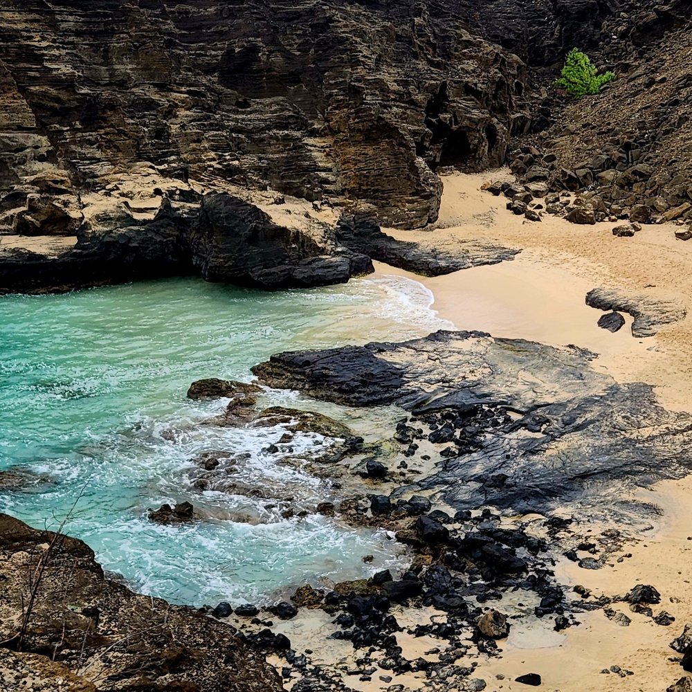 Go Tours Hawaii - Turtle bay - Bus Tours Near Me - Honolulu, Hawaii