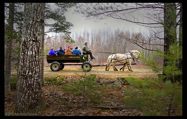 W W F Railway Museum 97 Cross Rd Alna Me Museums Mapquest