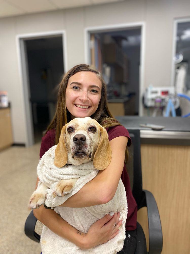 SOUTH 40 VETERINARY HOSPITAL Request Information Veterinarians