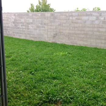 barking barnyard kennels