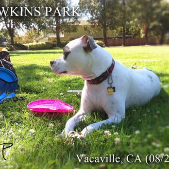 Hawkins Park - The HAPA, cooling off... - Parks Near Me - Vacaville, California Hawkins Park - The HAPA, cooling off... - Parks Near Me - Vacaville, California