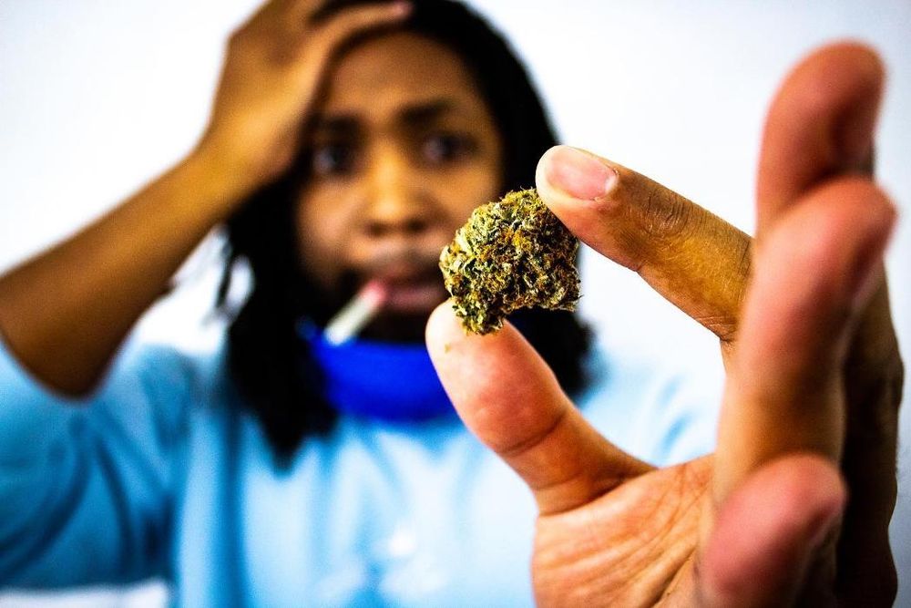 MILE HIGH DISPENSARY Updated July 2024 23 Photos & 32 Reviews