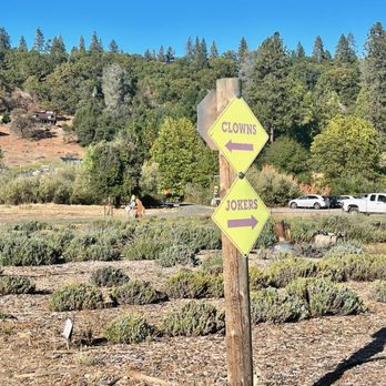 Bluestone Meadow - Farms Near Me - Placerville, California