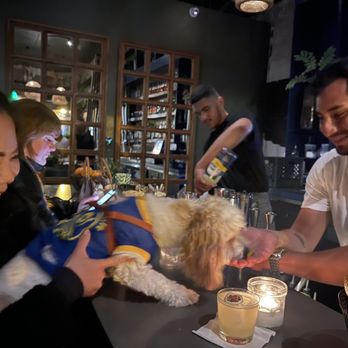 Propagation - Cocktail Bars Near Me - San Francisco, California