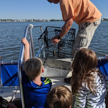 O.C. Bay Hopper - Captain Dave teaching us how to empty crab pots. - Boat Tours Near Me - Ocean City, Maryland O.C. Bay Hopper - Captain Dave teaching us how to empty crab pots. - Boat Tours Near Me - Ocean City, Maryland