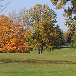 Cossett Creek