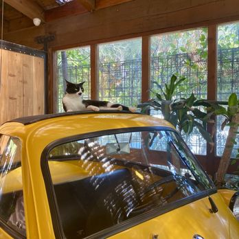 Cafe on 27 - inside cat! - Breakfast & Brunch Near Me - Topanga, California Cafe on 27 - inside cat! - Breakfast & Brunch Near Me - Topanga, California