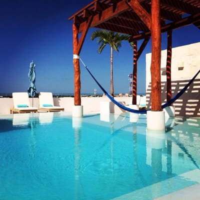 The Palm at Playa by null