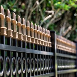 BlueBird Fence