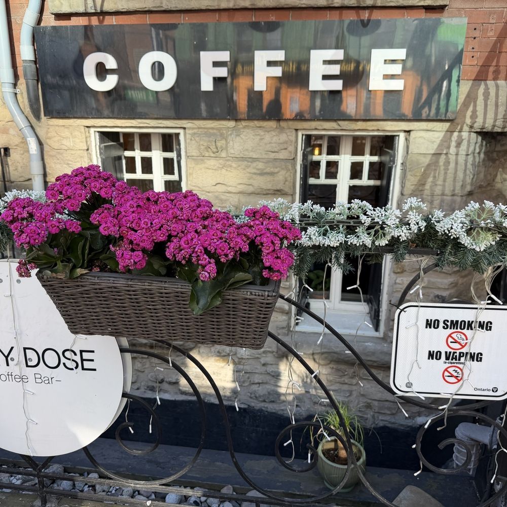 Daily Dose Coffee Bar - Coffee & Tea Near Me - Toronto, Ontario