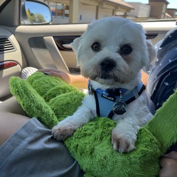 The Wishbone Pet Company - Croc he chose in the store (it's now his best friend) - Pet Stores Near Me - Freedom, California The Wishbone Pet Company - Croc he chose in the store (it's now his best friend) - Pet Stores Near Me - Freedom, California