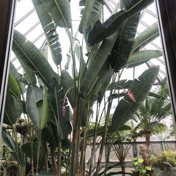 Chicago Botanic Garden - Botanical Gardens Near Me - Glencoe, Illinois