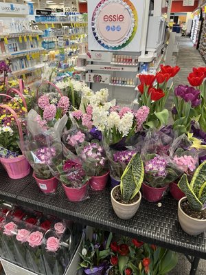 CVS PHARMACY - Updated August 2025 - 28 Photos & 12 Reviews - 219 Broad ...