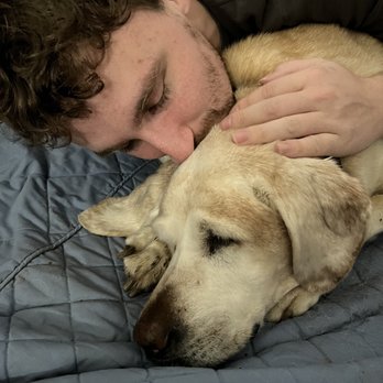Pawprints In Home Pet Euthanasia - Veterinarians Near Me