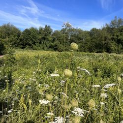 Fort Custer State Recreation Area