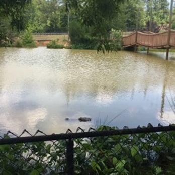 Noah's Ark Animal Sanctuary - Animal Shelters Near Me - Locust Grove, Georgia