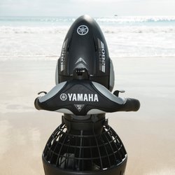 La Jolla Snorkeling Tour