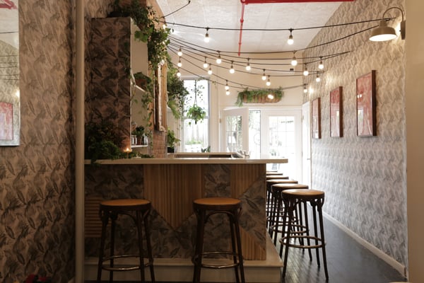 Cutler Brooklyn by null