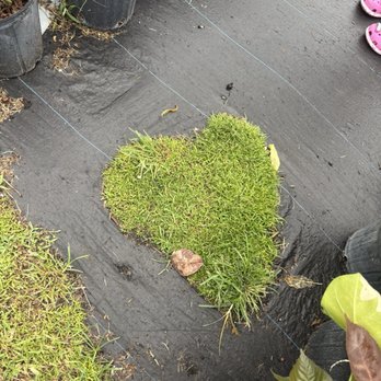 Liberty Landscape Supply - Nurseries & Gardening Near Me - Jacksonville, Florida