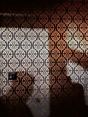 Fireside Bar by null