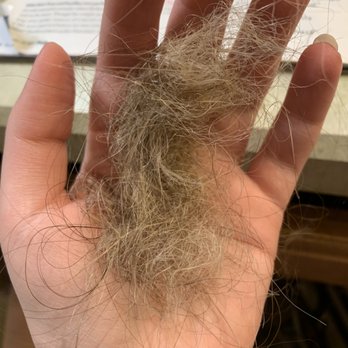 Expressions By Tanya - After my first several showers fistfuls of hair were coming out - Nail Salons Near Me - Dillsburg, Pennsylvania
