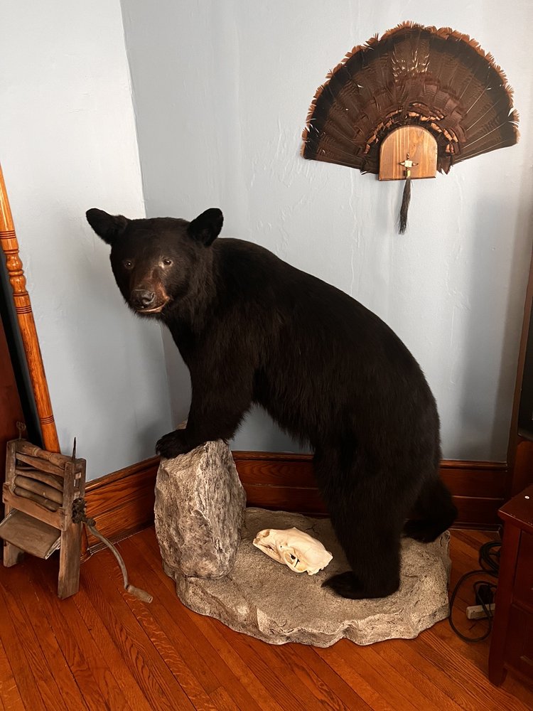 VICTORIAN CHARM INN Updated October 2024 21 Photos & 12 Reviews