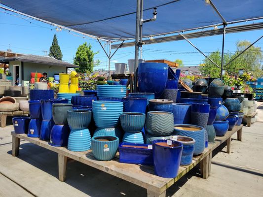 Portland Nursery by null