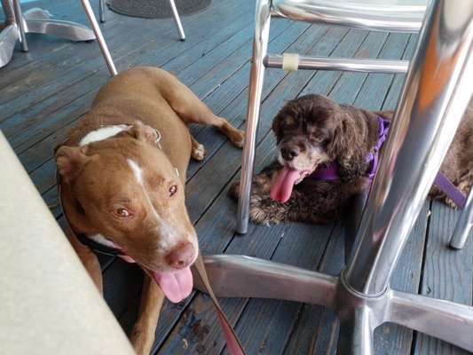 Sacred Grinds Coffee House by null