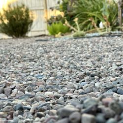 Rosenbalm Rockery - Multicolored pebbles