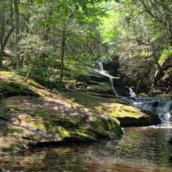 Enders State Forest - Parks Near Me - Granby, Connecticut