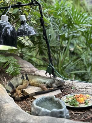 Houston Museum of Natural Science by null