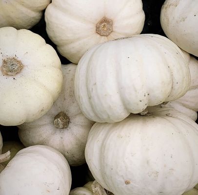 Downtown Long Beach Farmer's Market by null
