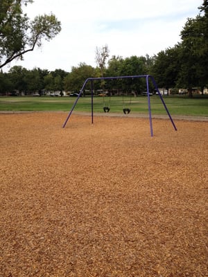 Roosevelt Park by null