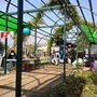 Photo of Bazar Fusión La Reina