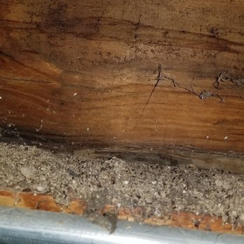 Assure Home Inspection - Home Inspectors Near Me - New Lenox, Illinois Assure Home Inspection - Home Inspectors Near Me - New Lenox, Illinois