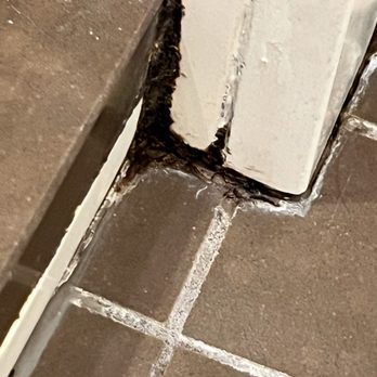 Vdara - Disgusting. This outside of the shower in the "Stay Well Premier Suite!!!!!" - Hotels Near Me - Las Vegas, Nevada Vdara - Disgusting. This outside of the shower in the "Stay Well Premier Suite!!!!!" - Hotels Near Me - Las Vegas, Nevada