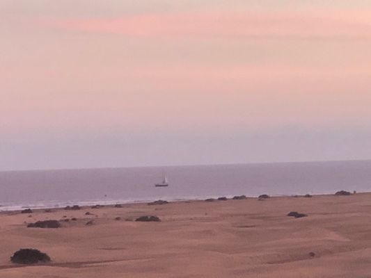 Dunas de Maspalomas by null