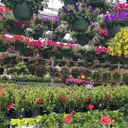 Seneca Greenhouse - A peep inside the door of the greenhouse