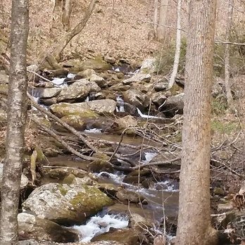 Anna Ruby Falls - Hiking Near Me - White, Georgia Anna Ruby Falls - Hiking Near Me - White, Georgia