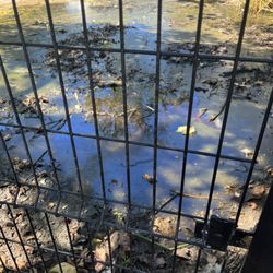 Hancock Park La Brea