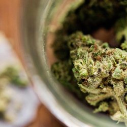 LaConte's Clone Bar & Dispensary - Best dispensary in denver