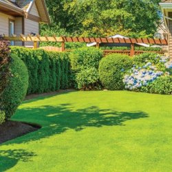 Lush Lawns - My peaceful corner
